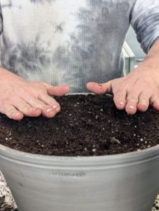 Ryan covers all the bulbs with another layer of potting mix.