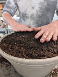 He pats it down slightly to compact the soil mix. Because Fritilllaria meleagris is more delicate, Ryan leaves this vessel as is. The flowers will emerge through the soil.