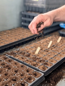 Ryan covers the seeds with more Miracle Grow Seed Starting Potting Mix.