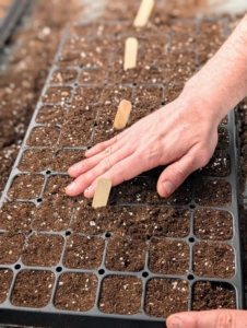 And then levels the soil mix gently with his hands.