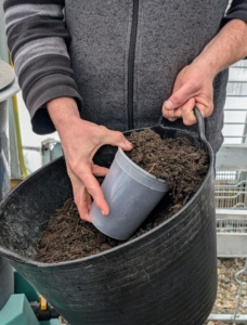 These brewing systems need several generous quart scoops of compost for each batch of tea. I am fortunate to make so much of my own compost right here at the farm.