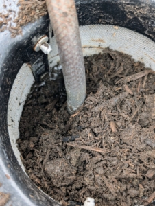 Here is a look at the compost inside the filter.