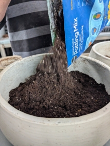 I like to use Miracle-Gro Potting Mix with moisture control.