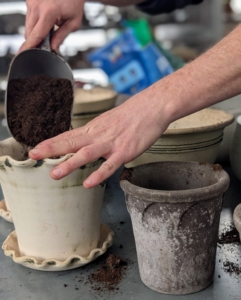 Then, Ryan fills all the pots with a good, well-draining potting mix.