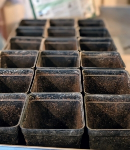 These flats have individual pots that can accommodate growing seedlings. Experiment with pots to see which ones work best for what plants. And always choose containers or trays that have proper drainage holes at the bottom.