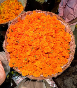 The best time to visit the market is early before sunrise, when vendors are setting up their stalls for the day.