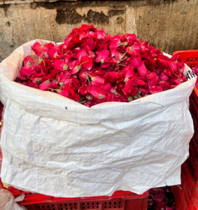 Through the aisles are bags and piles of colorful flowers - roses, marigolds, chrysanthemums, lilies, etc.