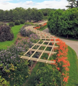 Later in the season, the gardens change. Here is the pergola in early August when the beds are filled with bold orange tiger lilies. I always encourage guests to walk along the footpath underneath.