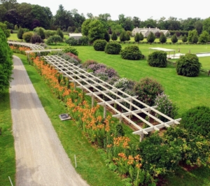 From above, one can see the pergola's structure. This pergola extends from the carriage road in front of my flower cutting garden all the way to the west end of my soccer field.