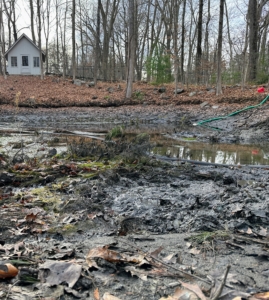 Here, one can see the bottom and debris that has been in the pond for years.