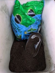 When starting from seed, it is best to use a pre-made seed starting mix that contains the proper amounts of vermiculite, perlite and peat moss. I use Miracle-Gro Seed Starting Potting Mix.