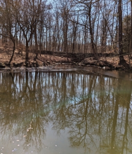 However, the pond was still murky and filled with decades of silt and other debris on the pond floor.