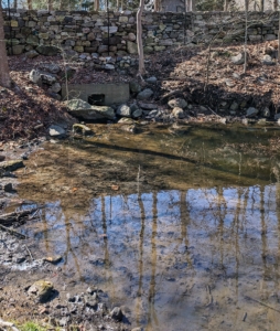 This process took a few weeks. It is important not to disturb any wildlife or dig too deep. It should bot be dredged deeper than the clay layer which acts as a barrier preventing any water seepage into the soil.