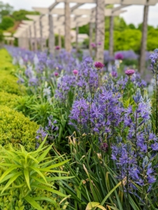 And gorgeous spring-flowering bulbs emerge along the entire length of the pergola.