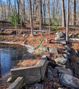 A pump was set up to help separate the water from the silt and empty the pond for cleaning.