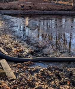 Here is one of the giant hoses that funnel the water out of the pond.