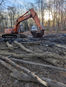 Other debris from the bottom of the pond is removed.