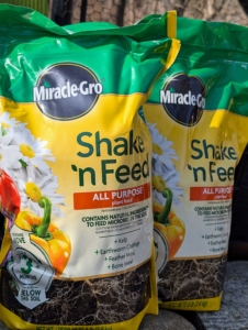 Always be sure to add the proper food to the bed. It should be a balanced fertilizer. Fertilizing spring-blooming bulbs also helps them fight off diseases and pests. I use Miracle-Gro Shake 'n Feed All Purpose Plant Food.