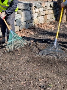 Raking closely also helps to make sure every bulb is covered. I don't want any missed.