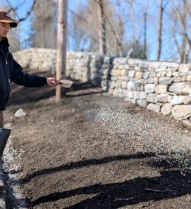 Once a section is planted, Matt sprinkles fertilizer.