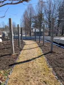 This is what it looks like now - quite bare. The burlap covers the boxwood hedge and shrubs that border the gardens.