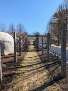 Soon, the building will commence and a new pergola will take shape. Follow to see the next phase of this restoration project.