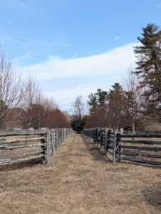 Much of the farm still looks like winter, but not for long. Soon the trees will be filled with glorious leaves, and all the gardens will be bursting with color – wait and see!