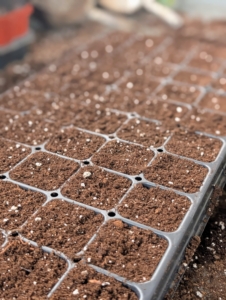 The soil should be level with the top of the tray before starting.