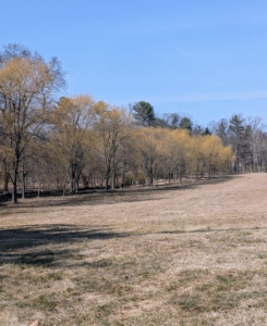 This time of year is always busy. Once the weather starts to warm up, everyone is outside working on spring season tasks. There's a lot to do on a working farm.