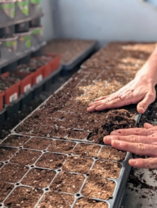 Ryan fills the seed starting trays with mix and pats down lightly into each compartment.