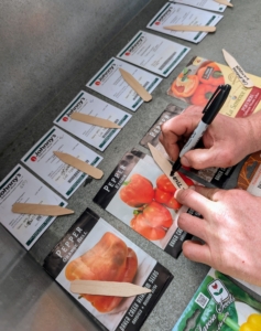 Seeds are started several weeks before the last frost in the area. If you’re not sure, check online or ask garden center associates when the last frost usually occurs in your location. And be sure to read the valuable information on the seed packets.