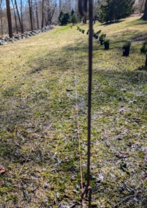 Gardener’s twine and stakes are used to mark the new edge of this bed. The twine also serves as a guide for the motorized sod cutter.