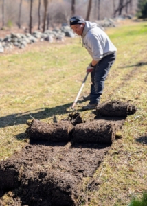 Phurba works in another area to roll up the sod. I never like to waste anything around the farm. The usable sod will be put in other areas needing grass.