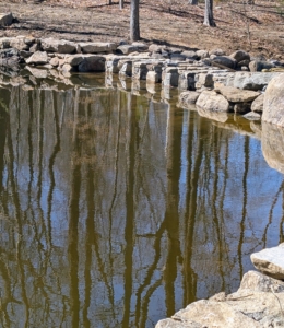 As work was completed, water was directed back into the pond. Here it is almost filled up.