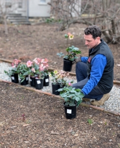 Then he places the potted specimens in the exact planting locations.