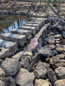 On the other side, rocks were carefully positioned for good flow out of the pond.