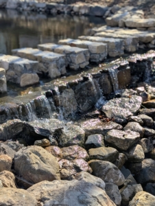 This will soon be such a wonderful area to visit here at my farm. Follow along here and on my Instagram page @marthastewartblog to see the final phase of my pond restoration project.