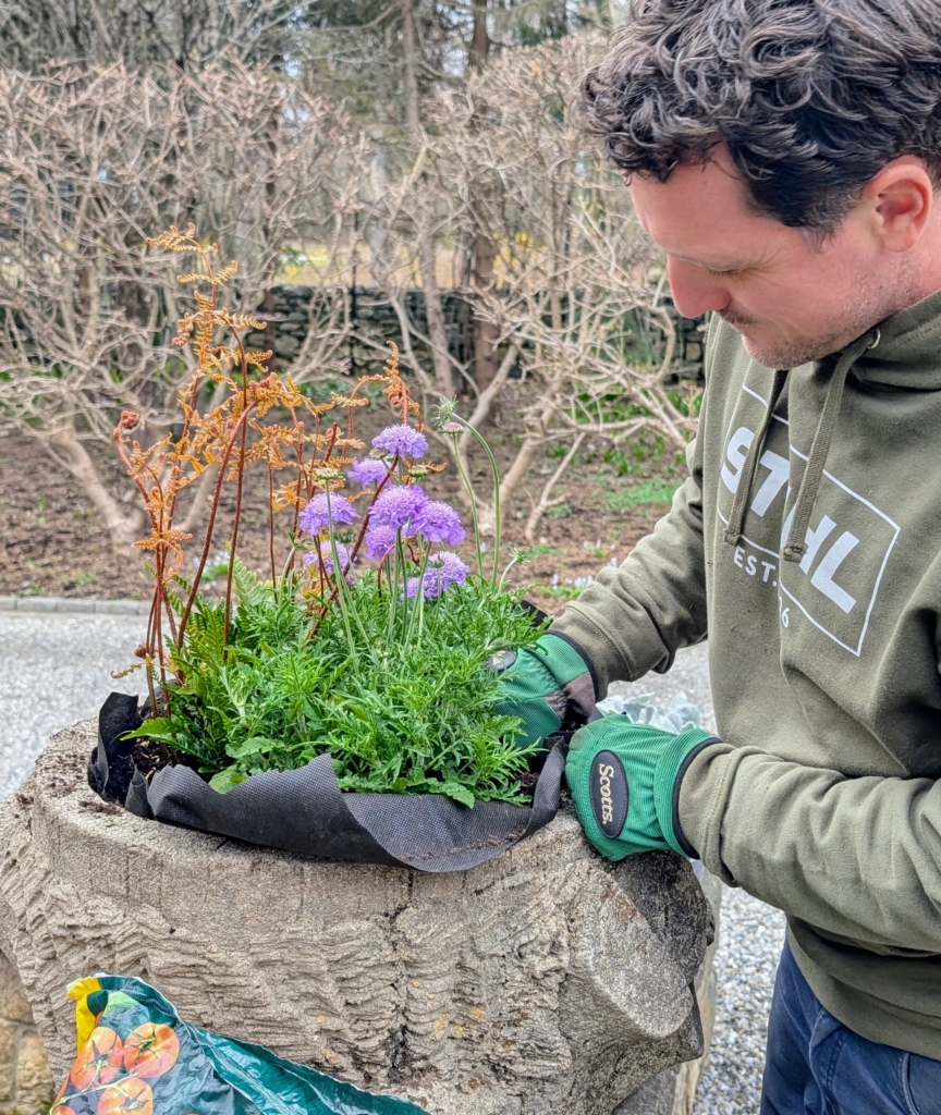 Potted Plants Outside My Winter House - The Martha Stewart Blog