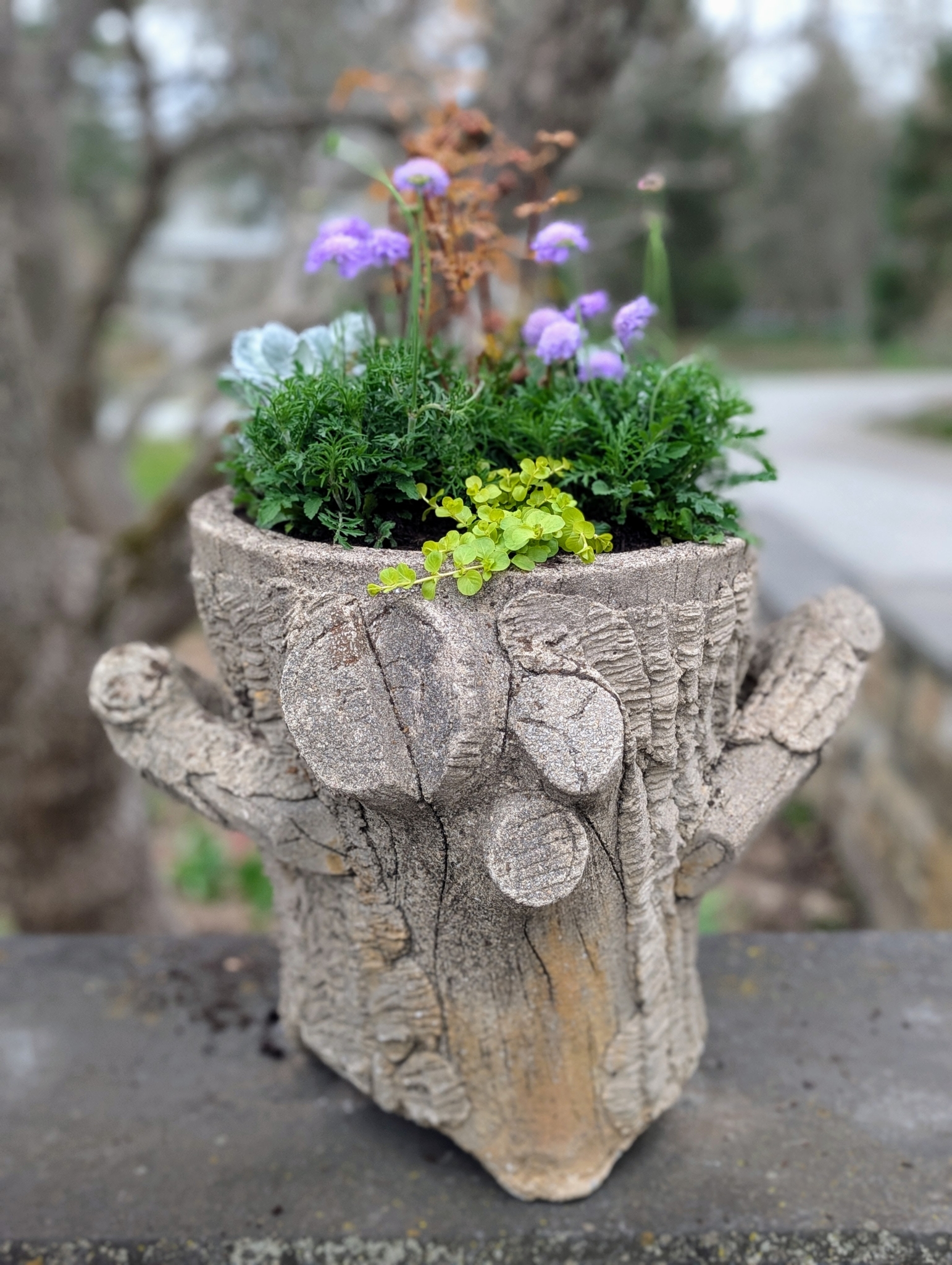 Potted Plants Outside My Winter House - The Martha Stewart Blog