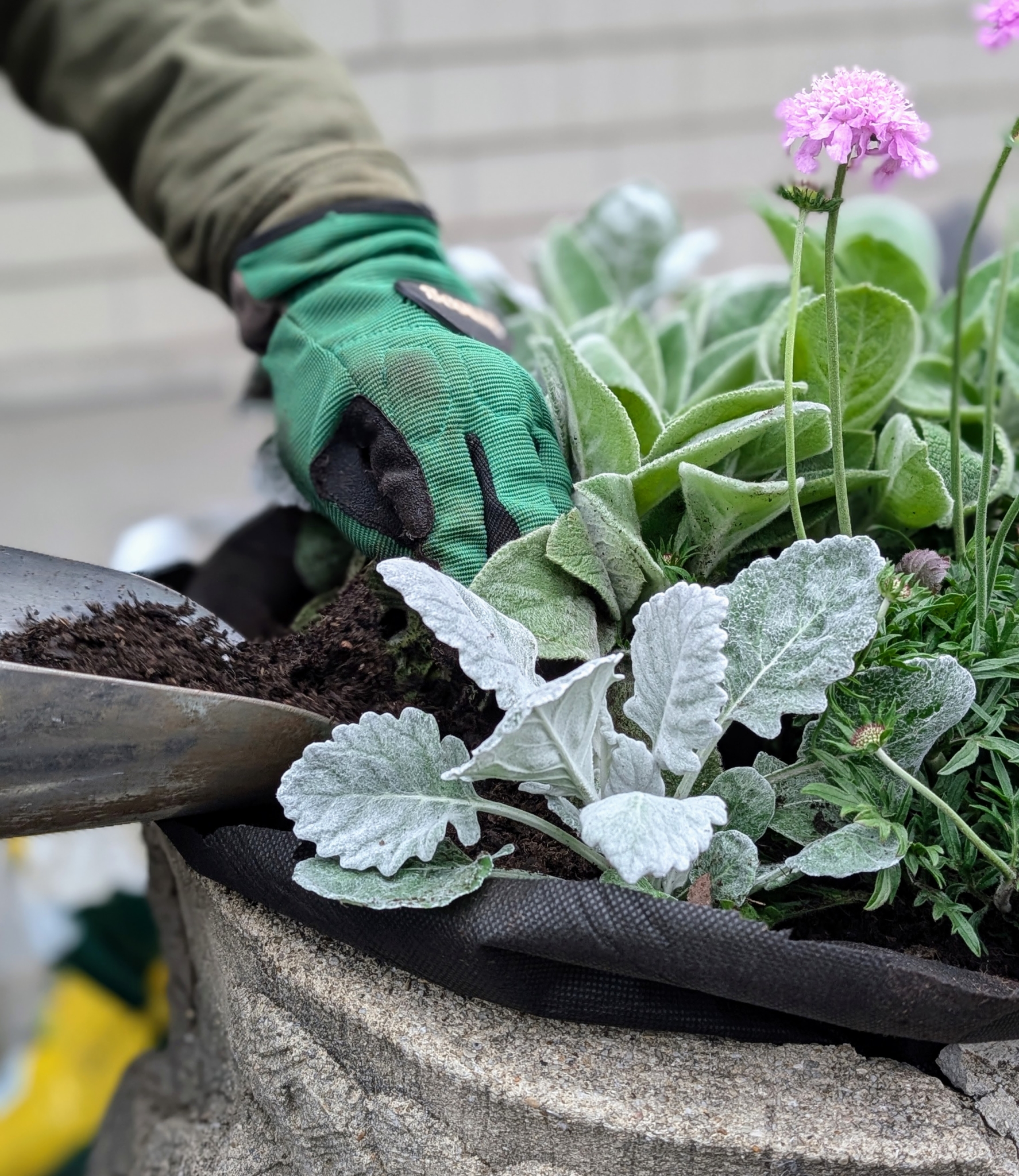 Potted Plants Outside My Winter House - The Martha Stewart Blog