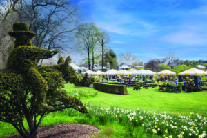 On this day, I was lucky to also attend Ladew's 17th annual Garden Festival.