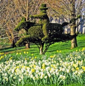 In all, there are more than 100 larger than life topiary forms at Ladew. (Photo courtesy of Ladew)