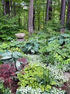 Everyone admired the shade garden. The hostas fill the space nicely. Hostas are among the most popular perennials - they are shade-tolerant, low maintenance, and incredibly elegant with their variety of foliage and striking green colors. There are many stone garden pieces all around Patsy's home. She has been collecting them for many years.