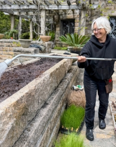 Here's my gardener, Wendy Norling, moistening the potting mix in this long trough. I bought this stone trough at Trade Secrets in 2013. It has worked perfectly here at Skylands.