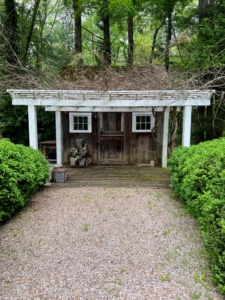 Across from the main house is a charming garden shed. The walking paths are covered with quarter-inch round stone – a beautiful ground cover for the bold green of the boxwood. The branches on top of Patsy’s shed are those of wisteria. Wisteria is a genus of flowering plants in the pea family, Fabaceae, that includes 10-species of woody climbing vines.
