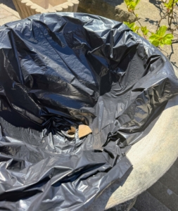To protect the rather porous and fragile pots, I like to line them with garbage bags, so the pots don’t soak up too much water. The garbage bags have drain holes at the bottom and are neatly tucked inside the pot, so they are not visible. It's also easier to clean up after the season.