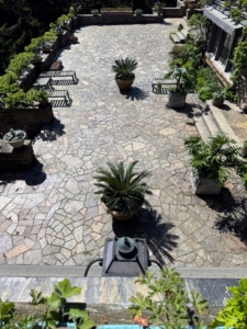 The terrace looks excellent after all the hard work – I can’t wait to see it all filled out the next time I return.