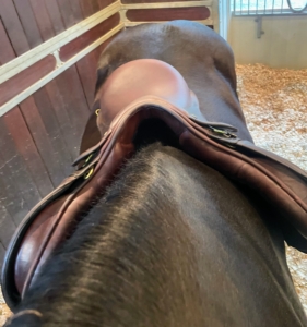 A horse's body changes through the year. During warm weather, horses are outdoors grazing on fresh grass. In winter, with a change in diet, they sometimes lose body mass. And, there are also muscular changes that occur from time to time. When a saddle no longer fits a horse properly, it can rock and wobble, and make the horse very uncomfortable. This saddle does not fit Bond well. He needs a narrower tree, or saddle structure, to fit his shoulders better.