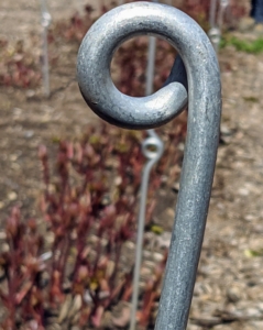Each of the stakes is faced in the same direction, so the eyes are also lined up uniformly.