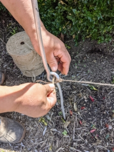 Phurba begins lacing twine through the middle stake eyes in a zigzag pattern all the way down the row. Herbaceous peonies need an area with fertile, well-drained soil and full sun.